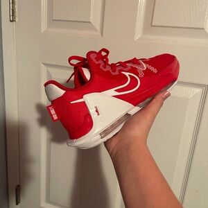 Nike lebrons size 13
